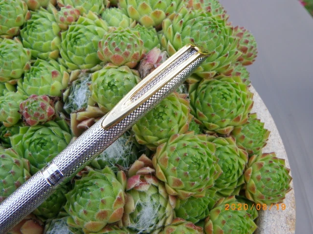 Stylo Plume Waterman CF En Argent Massif 925 - Finition Grain D'orge, Un Vrai Classique élégant !