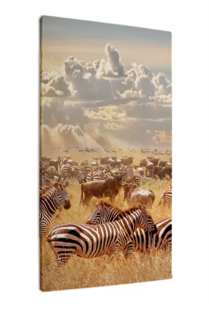 Leinwandbild Kunst-Druck Afrikanische Zebras 60x100 cm