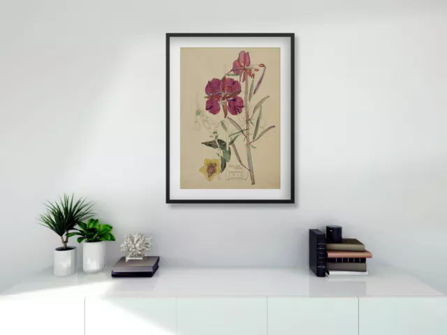 Rennie Mackintosh FRAMED digital A4 PRINT Willow Herb 11 x 14 black /white frame