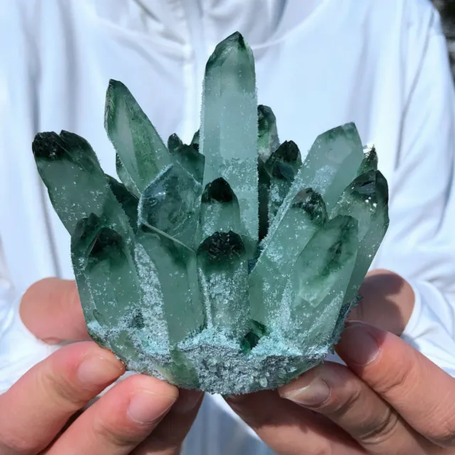 New Find Green Phantom Quartz Crystal Cluster Mineral Specimen Healing300g+/1pcs 7