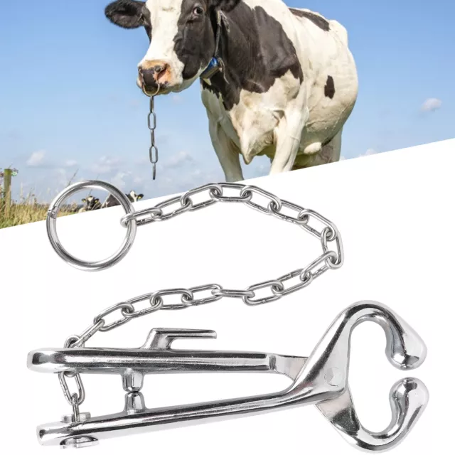 Cow Nose Pliers Stainless Steel Cattle Nose Ring Pliers With Chain Cattles T Esg