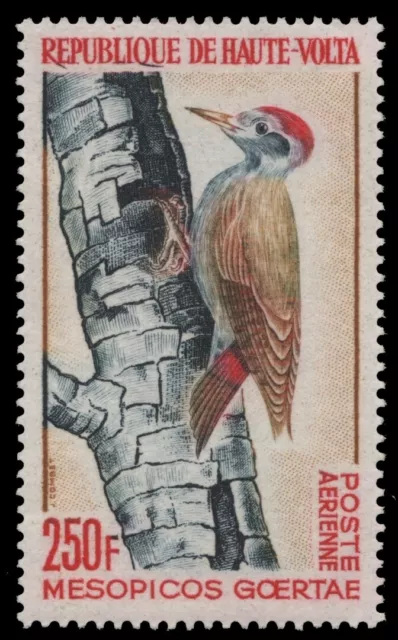 Obervolta 1964 - Mi-Nr. 153 ** - MNH - Vögel / Birds