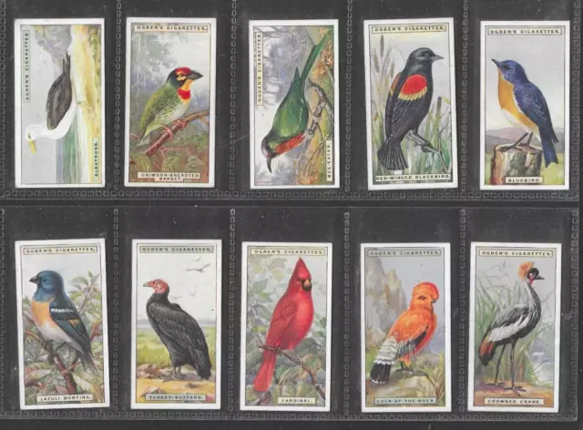 Cigarette Cards  Ogdens  1924 Foreign Birds   - Full Set
