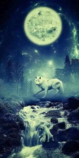 Plaque Décorative Métal Loup Blanc - Dimensions 40 X 30 Cm - Multicolore - Neuf Sous Emballage