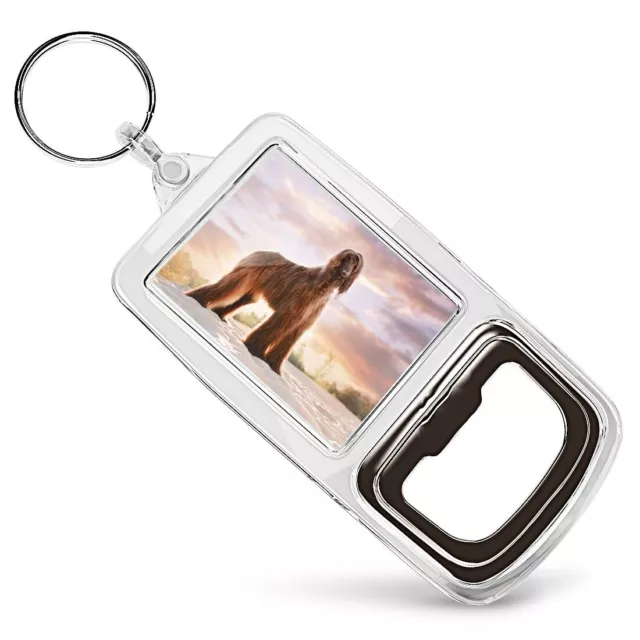 Acrylic Bottle Opener Keyring  - Afghan Hound Dog Puppy  #16262