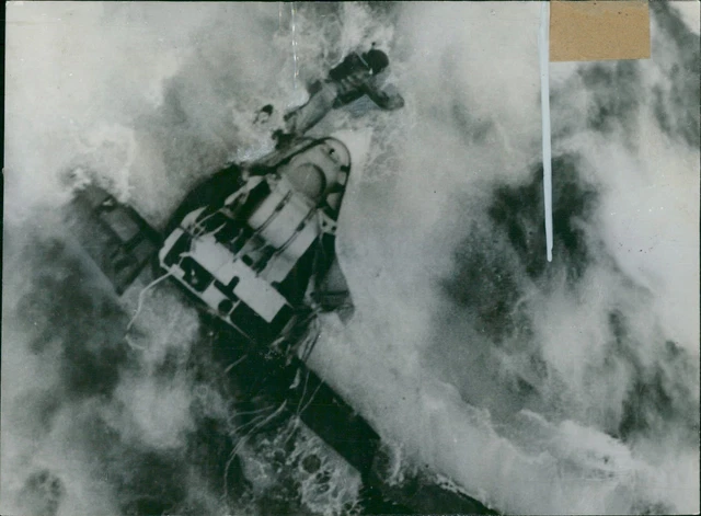Grumman Hellcat Aircraft - Vintage Photograph 1931435