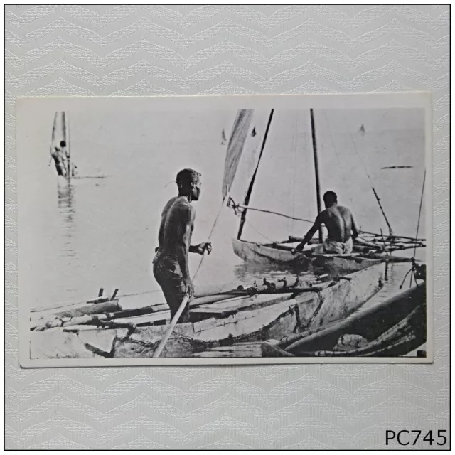 Canoes Luangiua Ontong Java Solomon Islands Postcard (P745)