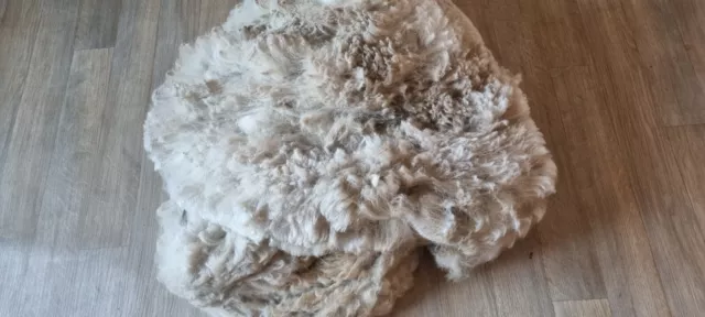 Rockleigh Alpacas - Alpaca Fleece - White - Vanilla - 1200g