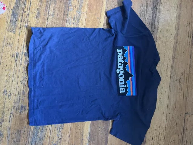 Patagonia Tshirt