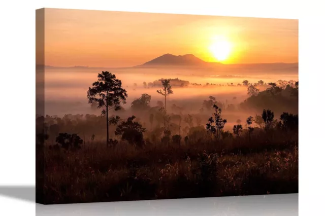 Misty African Landscape Canvas Prints Wall Pictures Framed Art work For Home