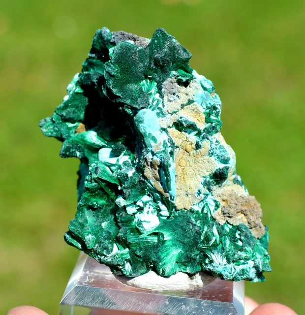 Malachit 91 Gramm - DER STERN Des Kongo Mine, Lubumbashi, Dr Kongo