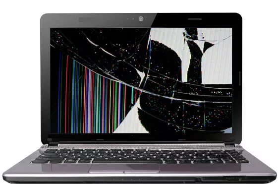 ASUS Notebook Display Reparatur verschiedene Modelle Displayreparatur Austausch.