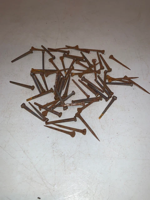 63 Vintage Antique Square Cut Common Nails (BW)