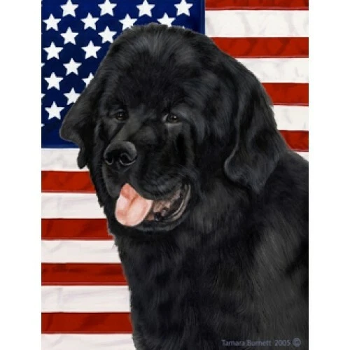 Patriotic (D2) House Flag - Newfoundland 32079
