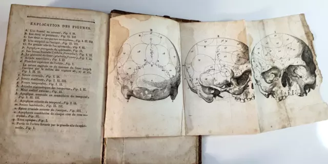 GALL-Physiologie Intellectuelle, Développement de la Doctrine du Prof. Gall-1808