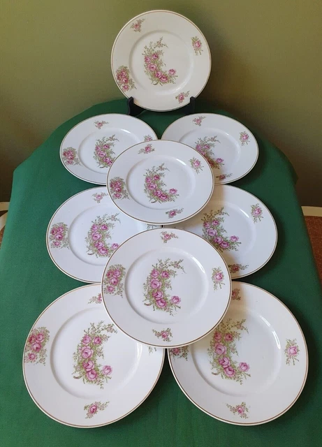 Paire d'Assiettes En Porcelaine De Limoges , Peintes Main