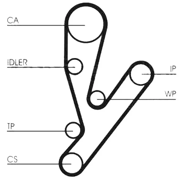 CONTITECH Zahnriemensatz + Wasserpumpe für  FIAT IVECO 2,3JTD