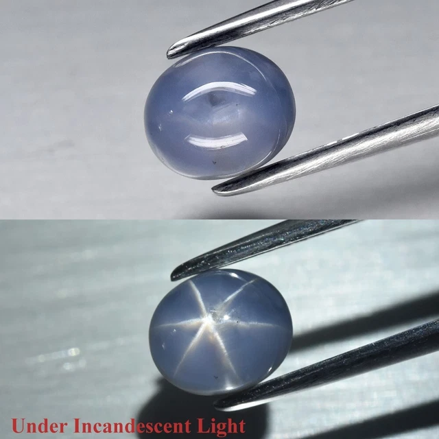 2.95ct 6.8x5.8mm Oval Cabochon Unheated Purplish Blue Shapr 6 Ray Star Sapphire