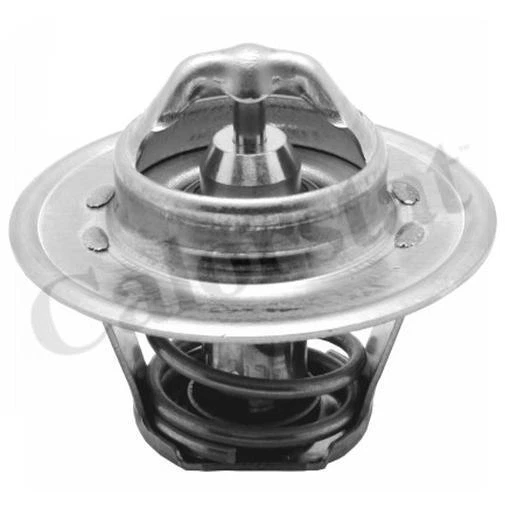 Thermostat De Refroidissement Calorstat Par Vernet 75°C Pour Nissan Patrol GR IV - Neuf Avec Joint