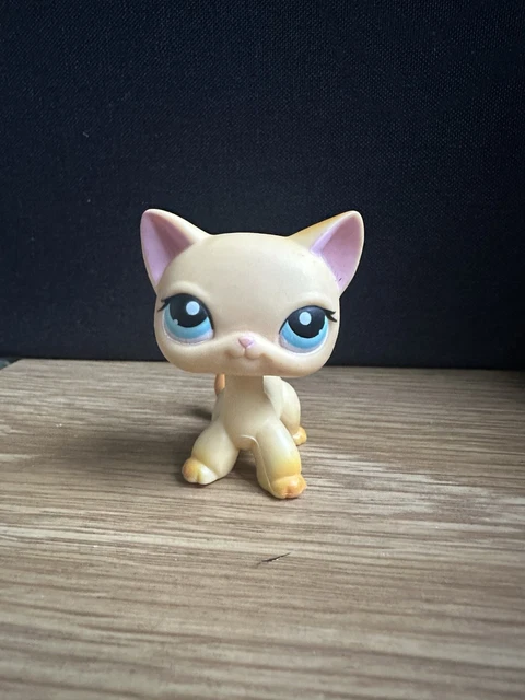 Littlest Pet Shop #125 – Chat Européen Shorthair, Authentique LPS