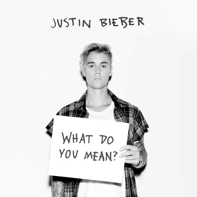 Justin Bieber - What Do You Mean? (2-Track)  Cd Single New!