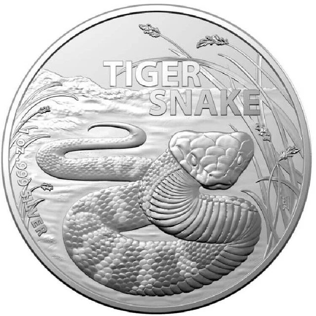 Pièce Rectangulaire En Argent 999,9/1000 31,1g Motif Dragon 2023 - Belle Qualité Timbre Brillant