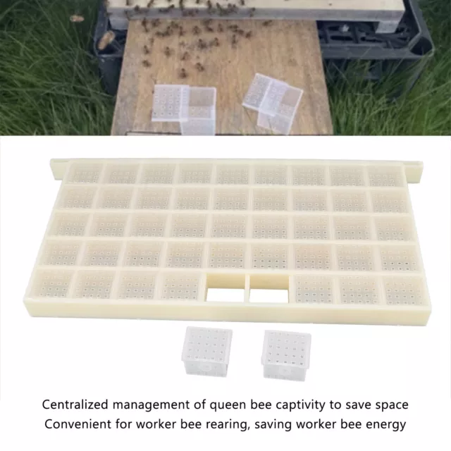 Bee Rearing System Kit Large Capacity Bee King Cage Queen Bee Storage Device