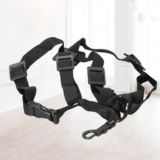 Protection Dos D'ombre Charles Owen - Taille S Adulte - Neuve