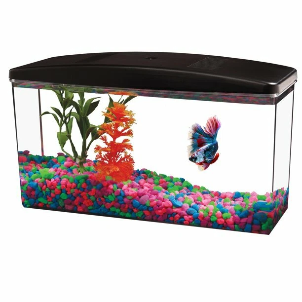 Aqua Culture Betta View 1/2-Gallon Fish Tank with Full Hood 4