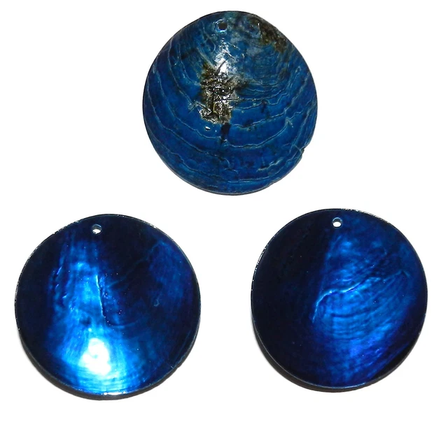 S411fb Dark Blue 40mm Top-Drilled Round Coin Drop Mussel Shell Focal Beads 6pc