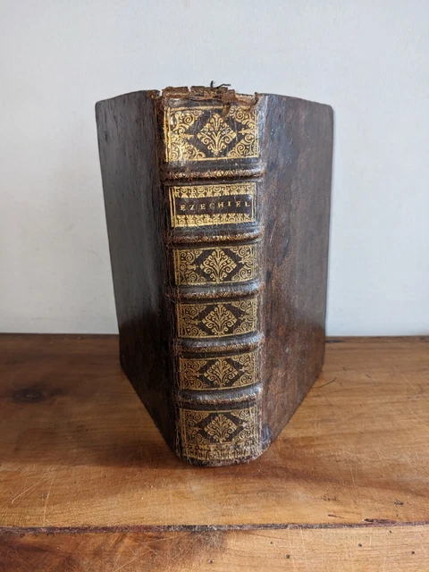 Livre Ancien – P. Deschampsneufs – Flores Latina Locutionis – 1635 – Édition Rare XVIIe
