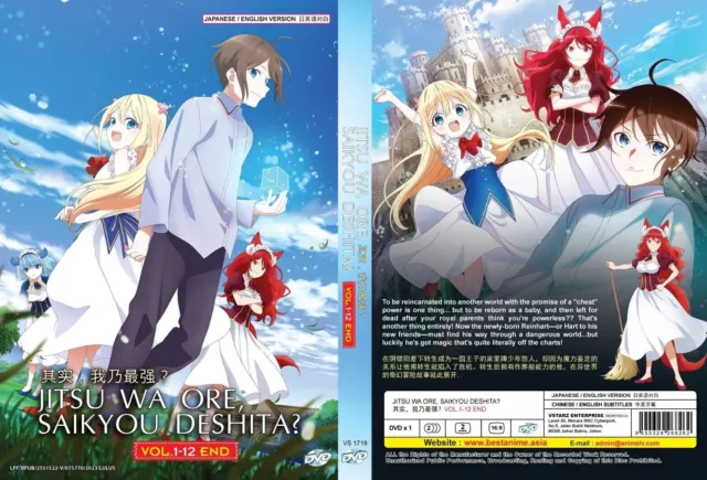 DVD Anime Kinsou No Vermeil Gakeppuchi Series (1-12 End) English