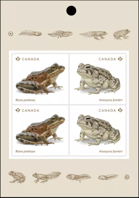 ENDANGERED FROGS = Page of 4 from BK MNH Canada 2024