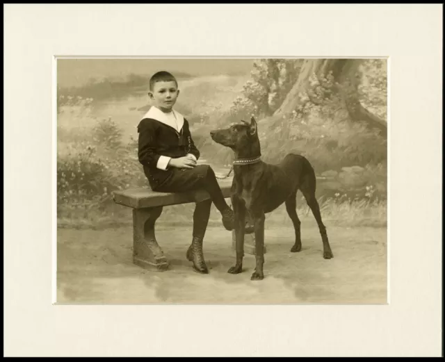 Doberman Pinscher And Small Boy Lovely Period Style Print Mounted Ready To Frame