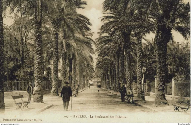 CPA - Carte postale - France - Hyères - Le Boulevard des Palmiers( CPV 141)