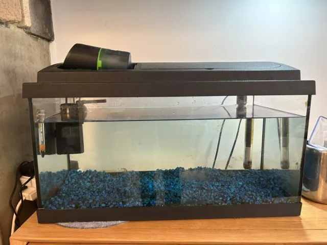 54L Fish Tank, Complete Aquarium Set Up
