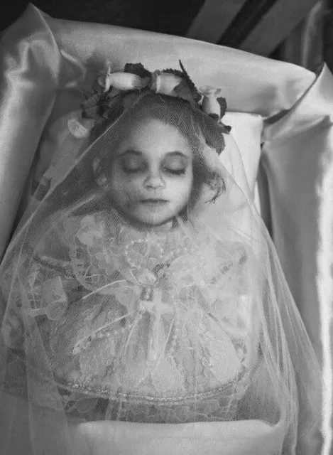 Antique Post Mortem Child Casket Photo 219b Oddleys Strange & Bizarre