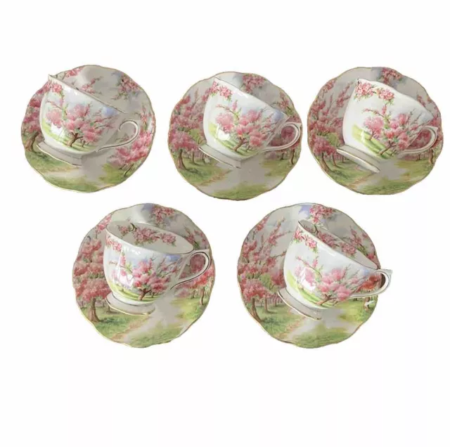 Royal Albert England Fine China Blossom Time Cups And Saucers  X 5