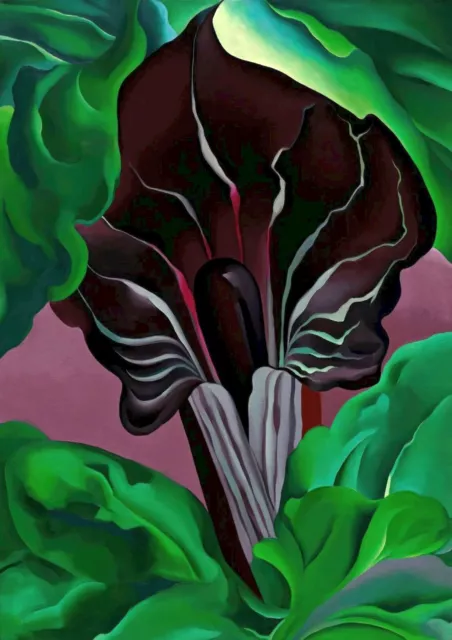 1582 - Jack IN The Pulpit No. 2 By Georgia O'Keeffe - Giclee Fine Art Print