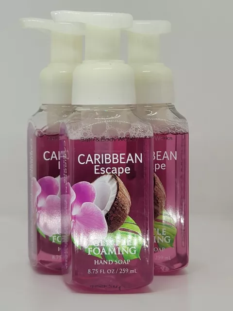 Bath & Body Works Caribbean Escape Hand Soap x3 - Gentle Foaming