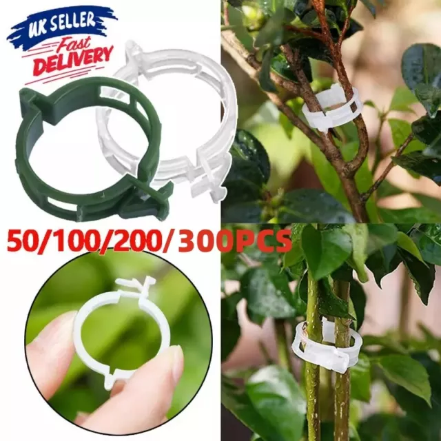 Plant Support Clips Ties Veggie Trellis Stake Greenhouse Tomato Garden Tools UK