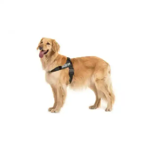 Arnés de cinturón ajustable Julius-K9 color y gris IDC® perro cachorro fuerte envío y devolución gratuitos Reino Unido 2