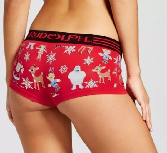 Dr. Seuss Cat in Hat Ladies Women's Panties Underwear ~ XS S M L XL 2XL ~  NEW