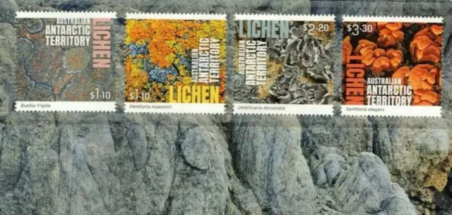 Australia 2021- Lichen Australian Antarctic Territory Complete Set Of 4 Muh