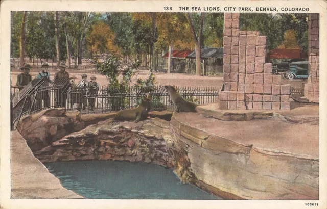 Denver, COLORADO - City Park - Zoo - Sea Lions