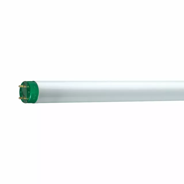 Philips Tube Fluorescent Maître Tl-D Eco - T8, 865 Lumière Du Jour - 16W - Lampe