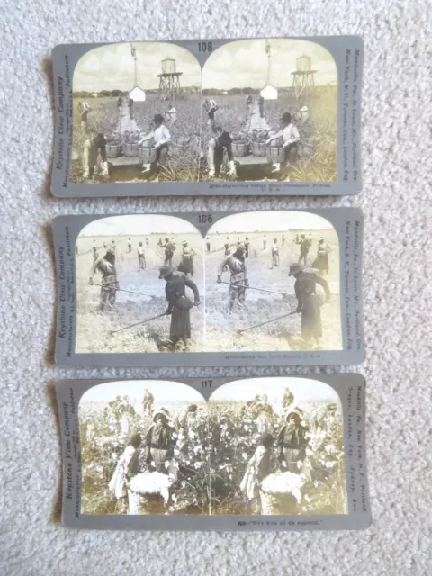 Black Americana Stereo-view Cards Hoeing Rice Picking Cotton & Harvesting Lot