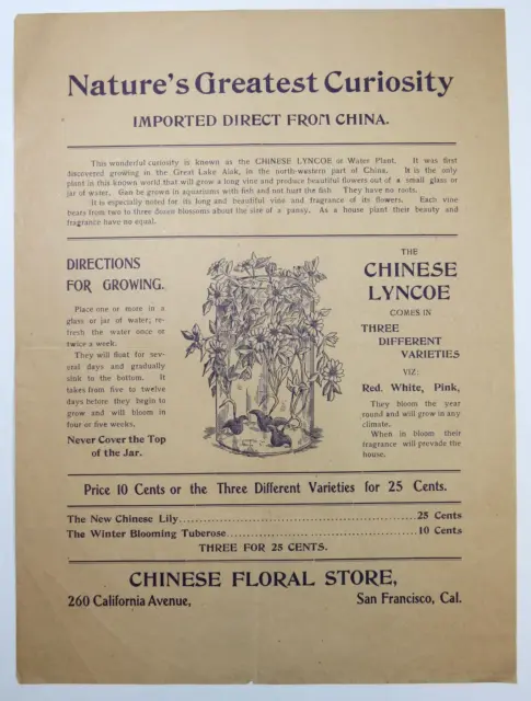 Chinese Floral Store San Francisco CA Vintage Flyer Advertisement Flowers Plants