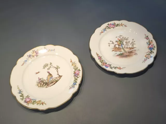 Deux assiettes en porcelaine de Sèvres décor aux oiseaux 2