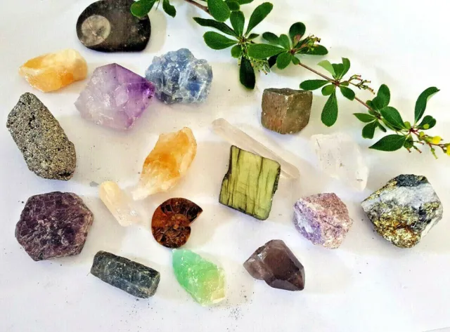 Natural Raw Healing Crystal Gems Minerals Stones Reiki Chakra Mystical Wisdom